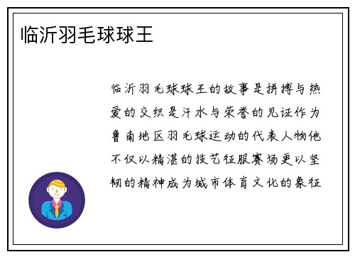 临沂羽毛球球王